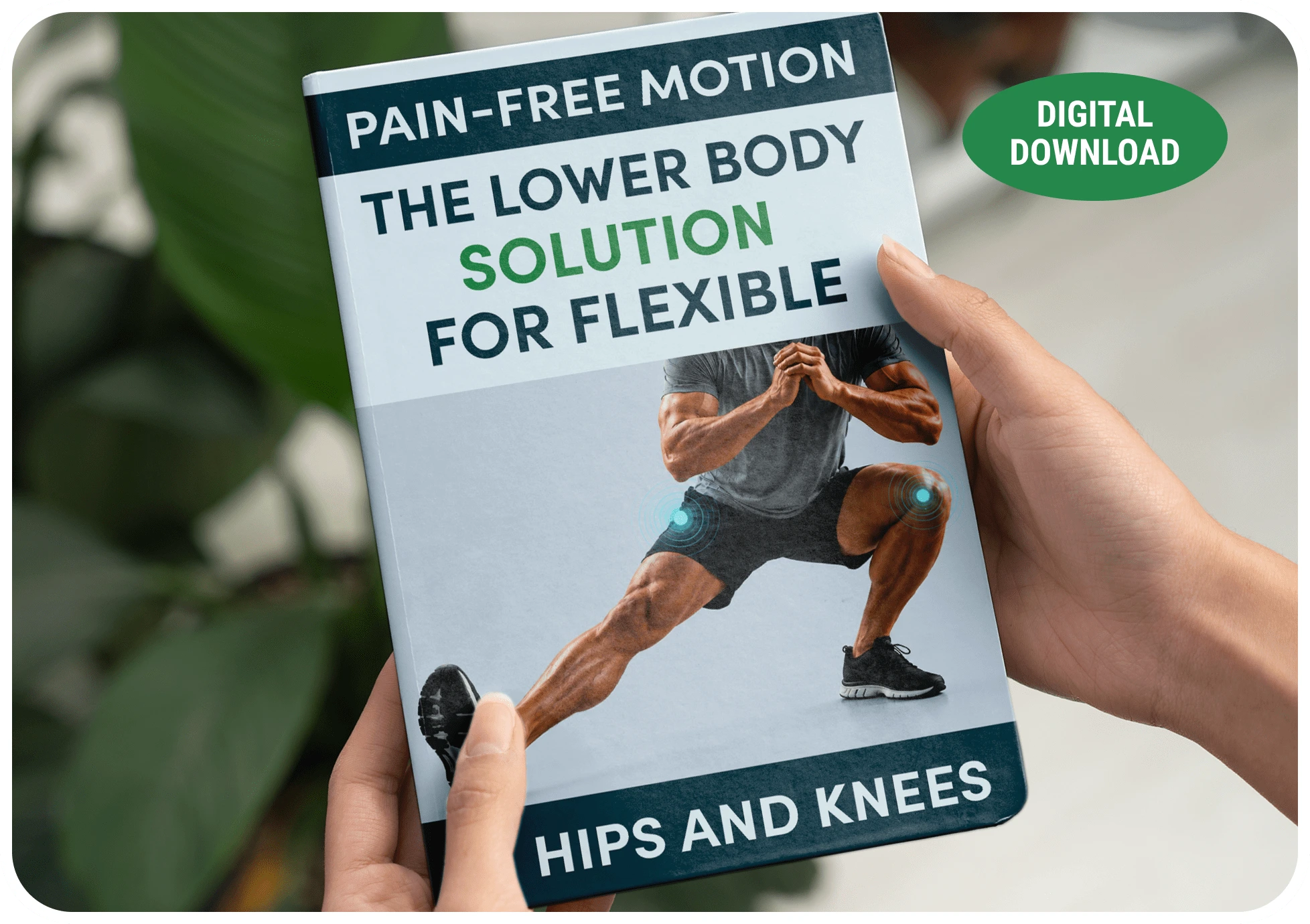 Pain-Free Motion guide cover